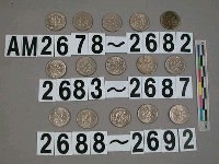 藏品(美國1角硬幣)的圖片